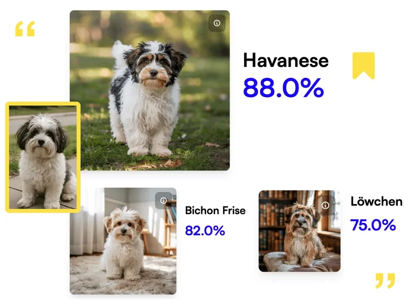 Breed.dog screenshot