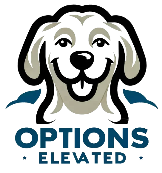 Options Elevated screenshot