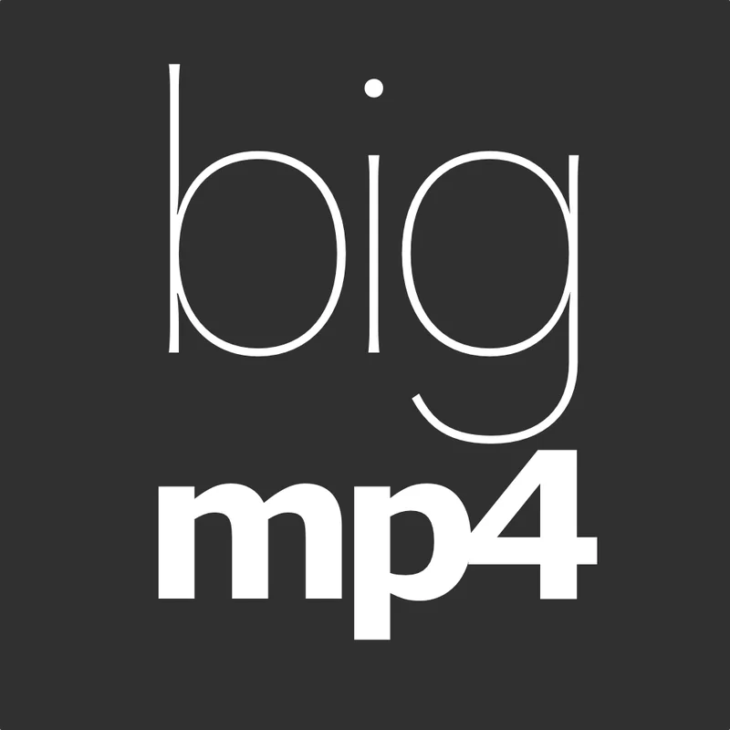 bigmp4 screenshot