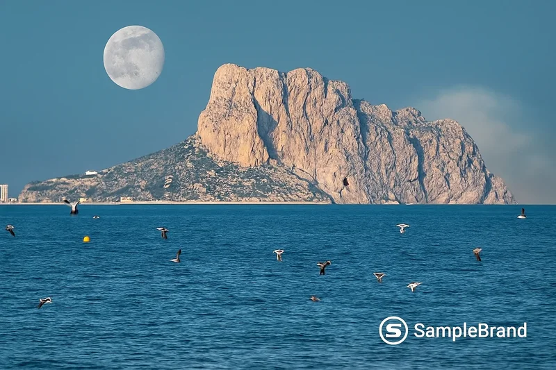 CleanVideoAI Watermark Removal screenshot