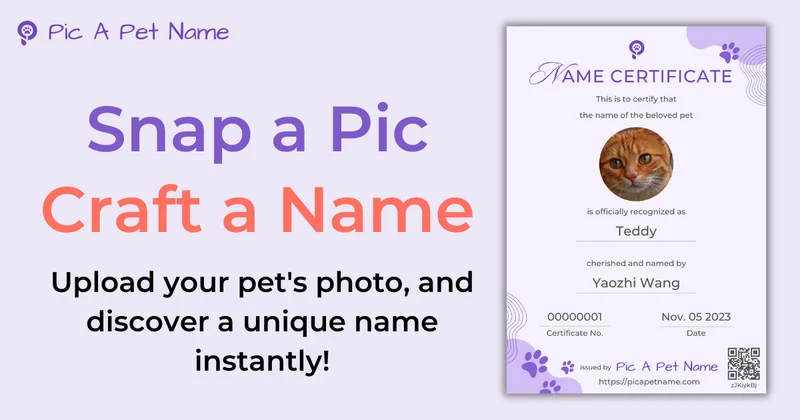 Pic A Pet Name screenshot