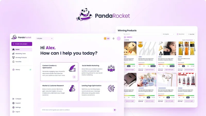 Pandarocket screenshot