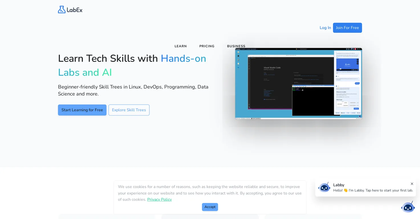 LabEx screenshot