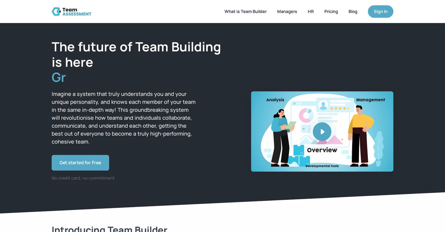 Team Assessment screenshot